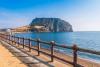 Jeju Buses Now Accept Visa Cards: A Complete Guide for Foreign Tourists