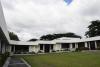 Jamaica deploys nuclear tech in battle against coffee leaf rust