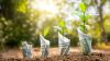 How to Unearth Sustainable Investment in Mining: A Financial Professional's Guide