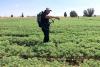 Scientists leverage machine learning and data science to improve...