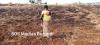 Bujumbura : farmers feel cheated by the fertilizer distribution