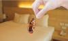 British family claims Cyprus holiday was ‘ruined by cockroach infestation’