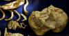 Fossil discovery in Ethiopia reveals missing chapter in human evolution