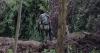world Rwanda-backed rebels massacred civilians in Congo, Human Rights Watch says
