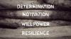 7 Books That Will Strengthen Your Mind And Build A Bulletproof Business