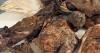Primate & rodent meat discovered in separate travelers' luggage last month at DTW