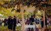 Over 100 Guests Fall Ill After Large Wedding Celebration in Bulgaria