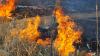 Wildfires dent Paphos tourism but ‘Cypriots save the day’