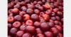 Luxembourg growers report good apple and plum harvest