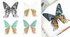 Paint Miraculous Butterflies and Peculiar Bugs With This DIY Watercolor Book
