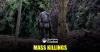 Human Rights Watch Reports Mass Killings By Rwanda-Backed Rebels In Congo