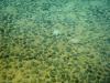 OPINION: Deep-sea mining ‘would be catastrophic’
