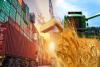 Kazakhstan Observes Agri-Export Growth
