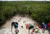 How Guatemala, Mexico, and Belize plan to protect 14 million acres of Mayan forest (World)