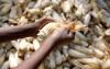 New generation of engaged scientists needed for food security