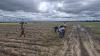 Agriculture ministry defends N$143m fertiliser payments