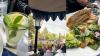 We Always Come Back to This Disneyland Restaurant With Beautiful Outdoor Patio and Wonderful Food