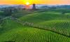 Xiconomics: How Xi's green vision sparks hope for a sustainable world