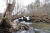 Alabama Trails Foundation announces new bridge to enhance hiking experience at Jogloma-Scott Lake in Talladega National Forest