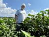 Alabama farmers face toughest economic conditions in decades: ‘The worst times I’ve ever seen’