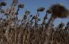 Discontent Grows as Bulgaria Hit by New Water Supply Crisis