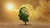 France’s summer of heatwaves exposes hidden mental health cost