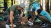 Forest Expansion Increases Agricultural Output, New Study Shows