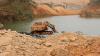Guinean workers fearful of mass job losses after mining permits cancelled
