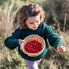 Urban food forests bring fresh food and nature into city life