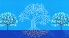 Teaching the Environmental Impact of AI Through PBL