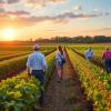 AI in Agriculture Symposium and Hackathon Slated for September in Fayetteville