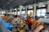 Tajikistan plans to fully provide itself with food in 5 years. Is this goal achievable?