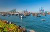 Environmental NGO claims Chile is complicit in servicing increasing numbers of vessels linked to IUU fishing