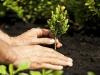 Ethiopia to support Punjab’s green sector initiatives