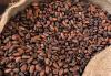 Higher cocoa prices unlikely to benefit Ghana and Côte d'Ivoire - Fitch Solutions