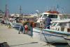 Fishermen on Greece’s Amorgos Launch Ambitious Project to Revive Marine Life