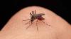 Bangladesh Reports Highest Single-Day Dengue Deaths In 2025