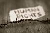 Top law schools for human rights law