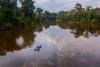 Traces of mercury have reached the most remote areas of the Colombian Amazon
