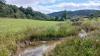 Compensation and restoration: St. Pirmin Kaundorf a hub of nature protection