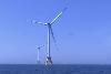 Trump Administration Halts Offshore Wind Farm off Rhode Island – Big Win for Whales and the Environment