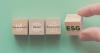 Allen Mendenhall: Is Alabama asleep at the ESG wheel?