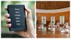 Business of digital detox: Why switching off is becoming a premium lifestyle choice
