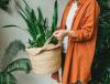 Effortless Greenery: 5 Houseplants That Fit a Minimalist Lifestyle