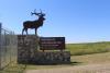 Devils Lake coordinator is recognized with national award for integrating nature into education