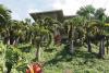 Hawaii island vacation rental law to go into effect in December