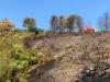 Spain’s wildfires almost all under control, but ‘final effort’ still...