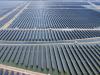 B.C. climate news: China races to build world’s largest solar farm | B.C. groups push for end to fossil fuels following international court climate ruling | WHO says critical safeguards needed to protect workers from heat