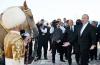 The National Leader of Turkmenistan presented the President of Azerbaijan with an Akhal-Teke horse