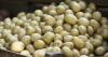 Fact-checkers dismiss viral social media claims of collapse in Canadian potato trade